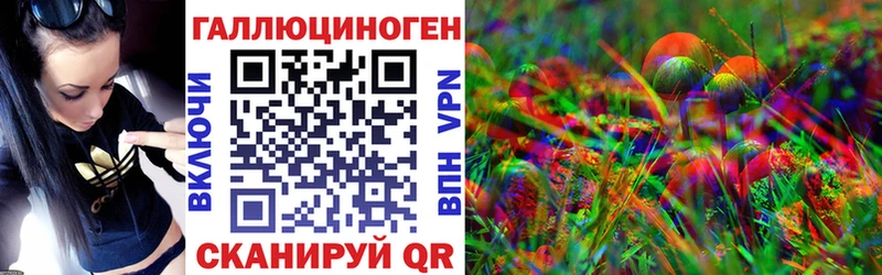 сколько стоит  Брюховецкая  Псилоцибиновые грибы Cubensis 